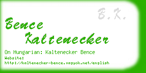 bence kaltenecker business card